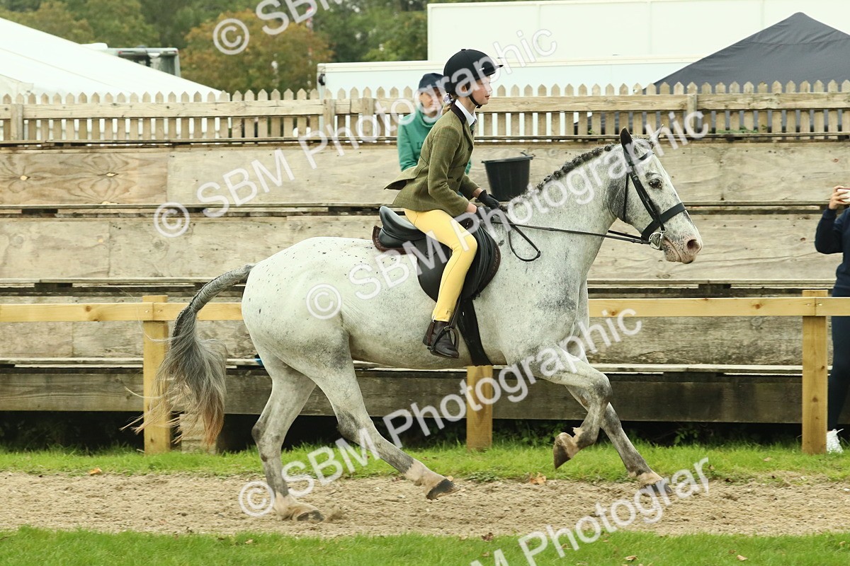 SBM_74072 - S 61 - Show Pony & Show Hunter Pony Ridden