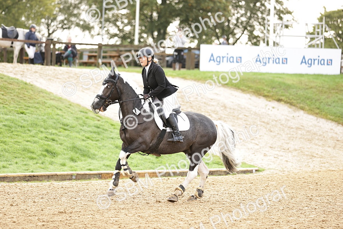 SBM_32989 - J38 - Senior Horse & Pony 80cm Championship