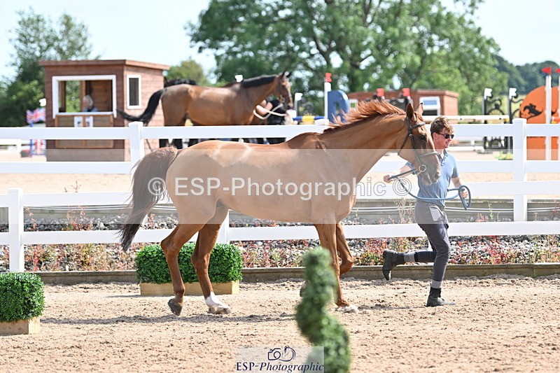 240717A-154150-02987 - Trot Up 3pm to 4pm