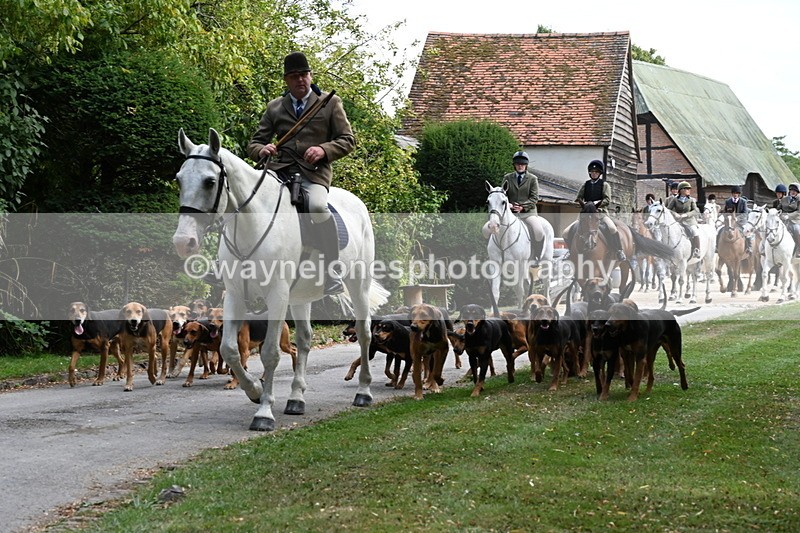 WJ6_3933 - Berks & Bucks - The Old farmhouse - Hound Exercise 20-08-25