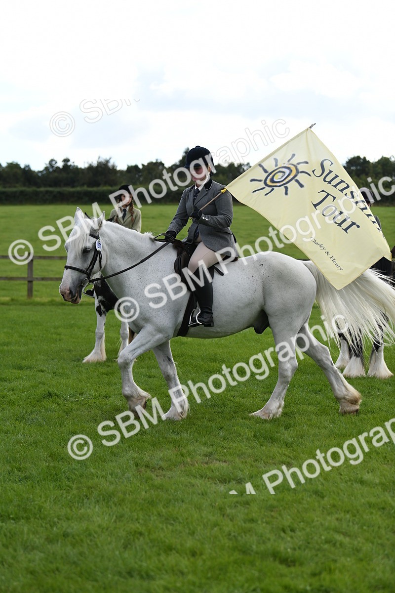SBM_47192 - S12 - Family Horse & Pony