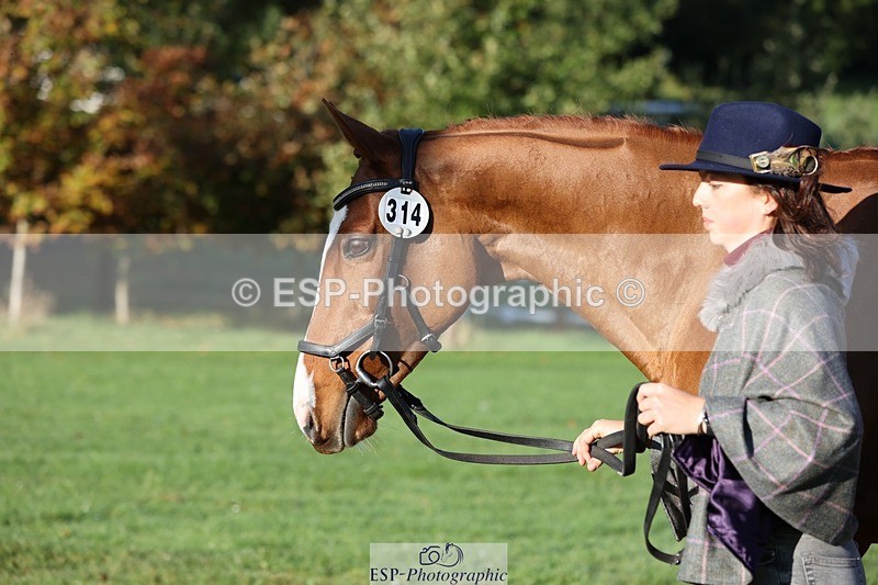 241027-091145-15103 - 314-Beth.Jones-FANTASY.CHILLI.(GB)