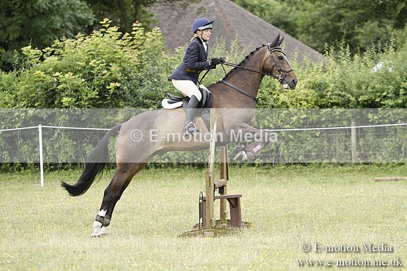 BVR160717-881 - Ring 3 BVRC Show 16/07/17