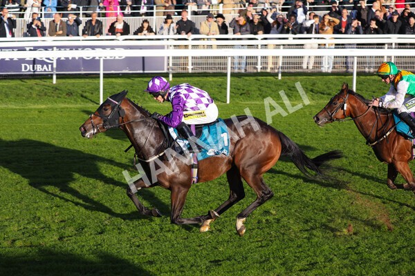 yr07102022r6-26 - Race 6 5.00pm William Hill Lengthen Your Odds EBF Novice Stakes