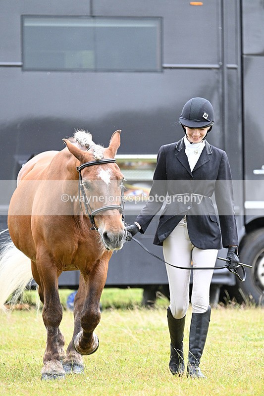 WJ7_6254 - Class 4a Prettiest Mare over 14hh