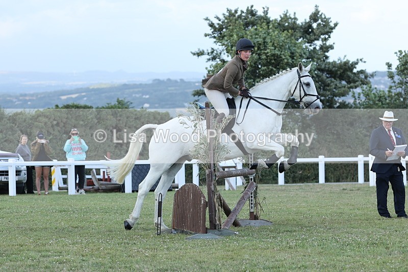 JPP_3612 - Class 24: Open Working Hunter