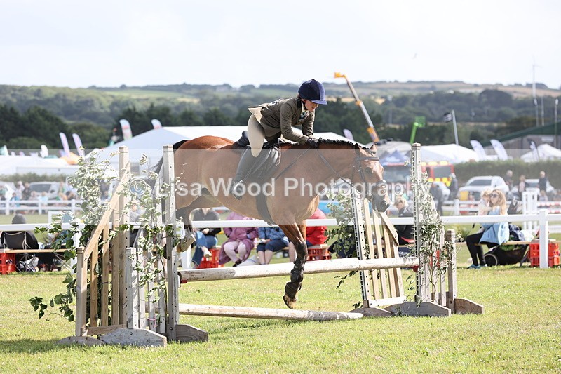 JPP_2625 - Class 20: Working Hunter 70cm