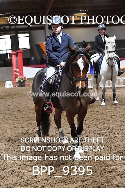 BPP_9395 - CLASS 10 Pony BritiNovice / 0.80m Open