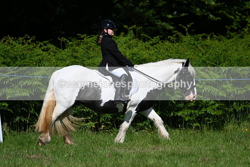 WJ7_0747 - Class 8 First Rally Pony