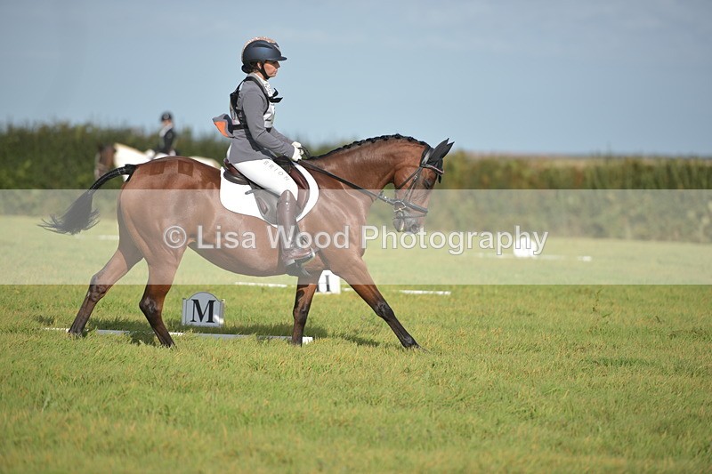RAY_7592 - Class 2B: Trekenning Open: Dressage