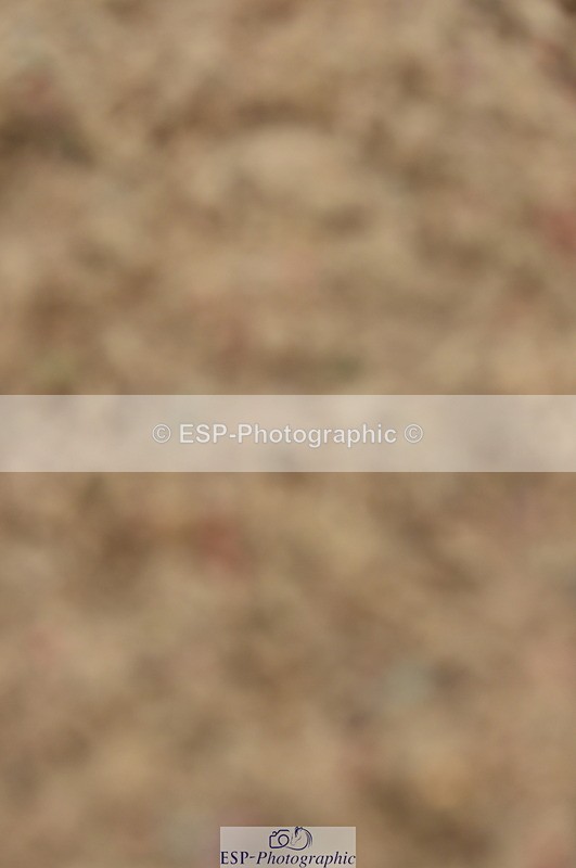 230916A-154358-04782 - Cls 25 1.10m Amateur Qualifier