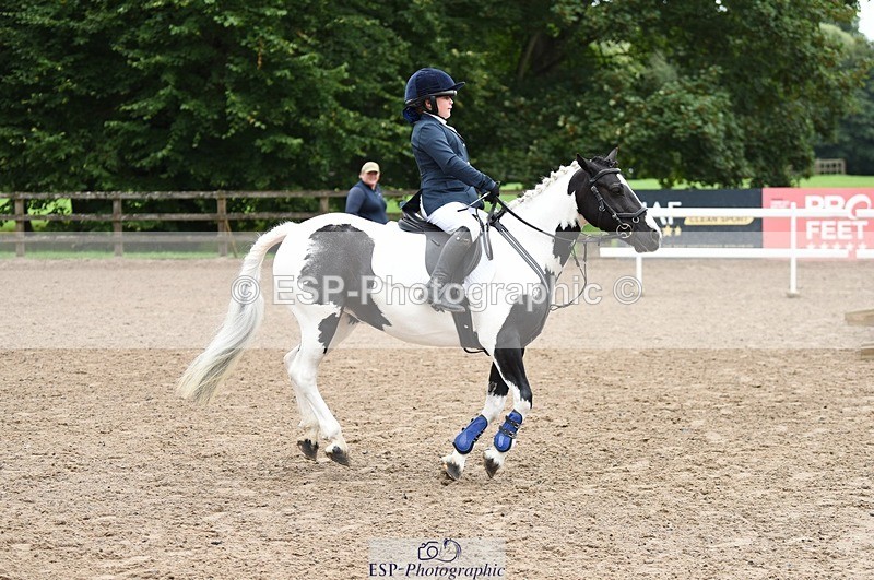 230731-145314-01800 - Mini Major