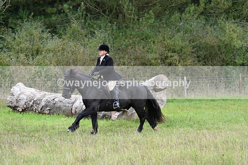 WJ7_3806 - Camera 1 Line 1