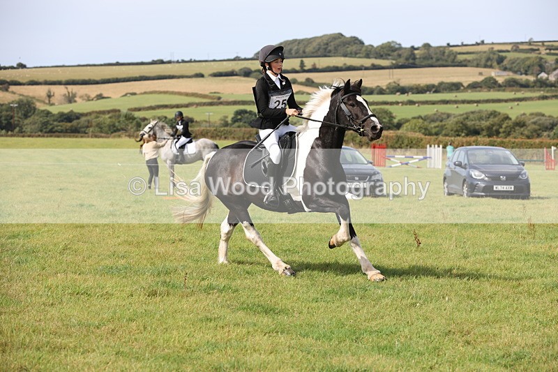 JPP_8627 - Class 2: Trekenning: 80cm Showjumping