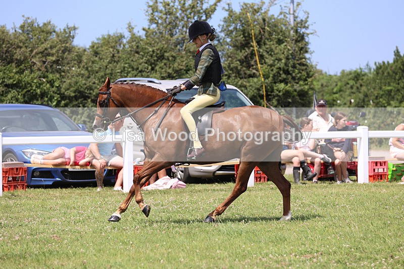 JPP_2586 - Class 21: Working Hunter 60cm