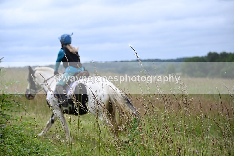 WJ6_8158 - Camera 1 Gallops