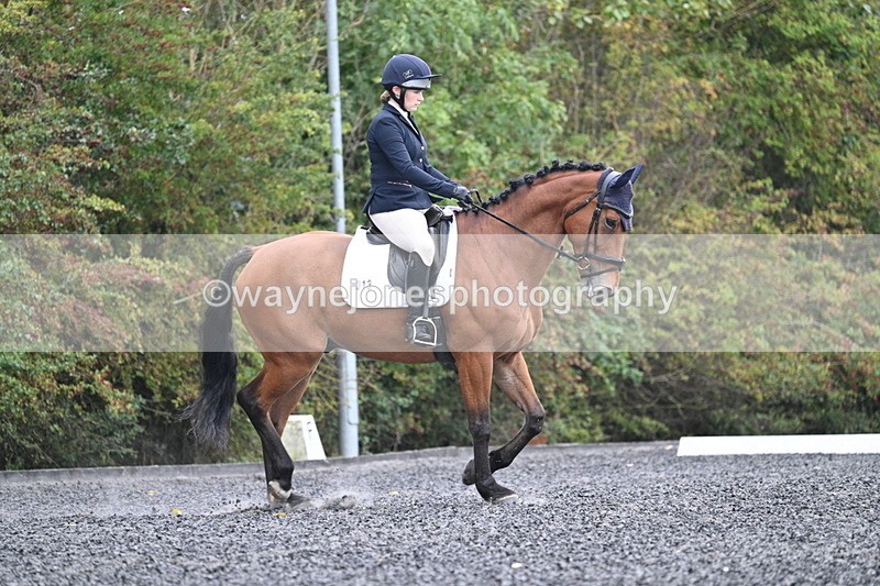 WJ7_3358 - Time 09:54 to 10:54