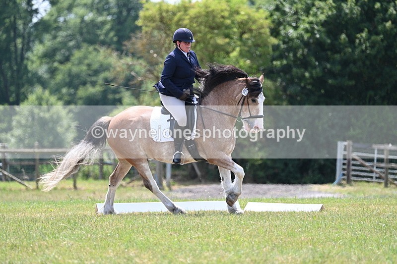 WJ7_8214 - Time 13:35 to 13:40