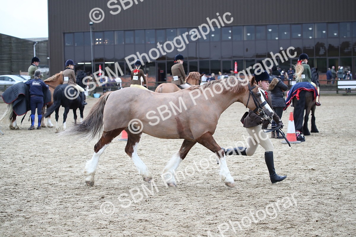 SBM_006165