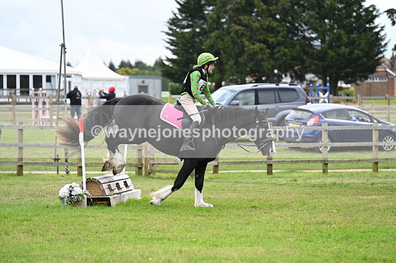 WJ7_8947 - 60cm Time 12:31 to 12:50