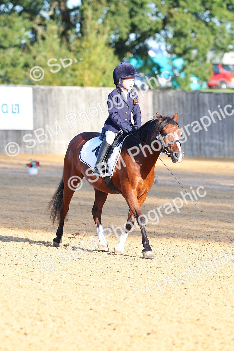 SBM_33499 - D26 - Test Starter Test 1