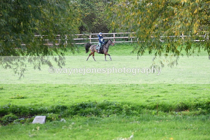 WJ5_8005 - Time 10:31 to 12:01