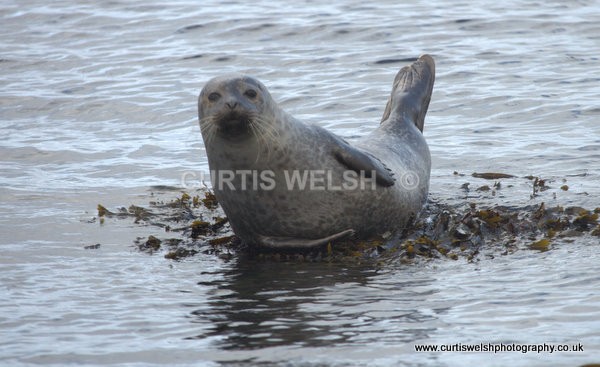 22 - WEST of SCOTLAND