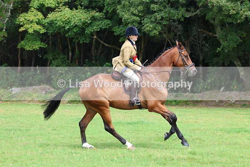 3E7A6216 - Working Hunter Championship