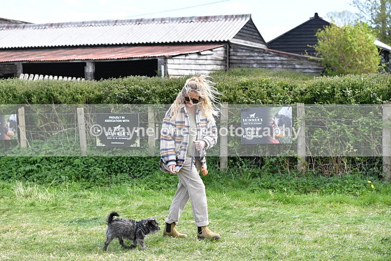 WJ5_0730 - Best in Show Championship