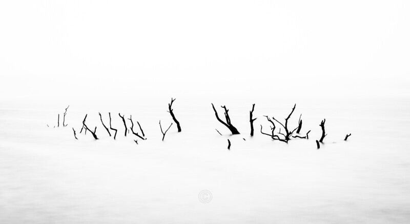 Skeletal - Cornwall