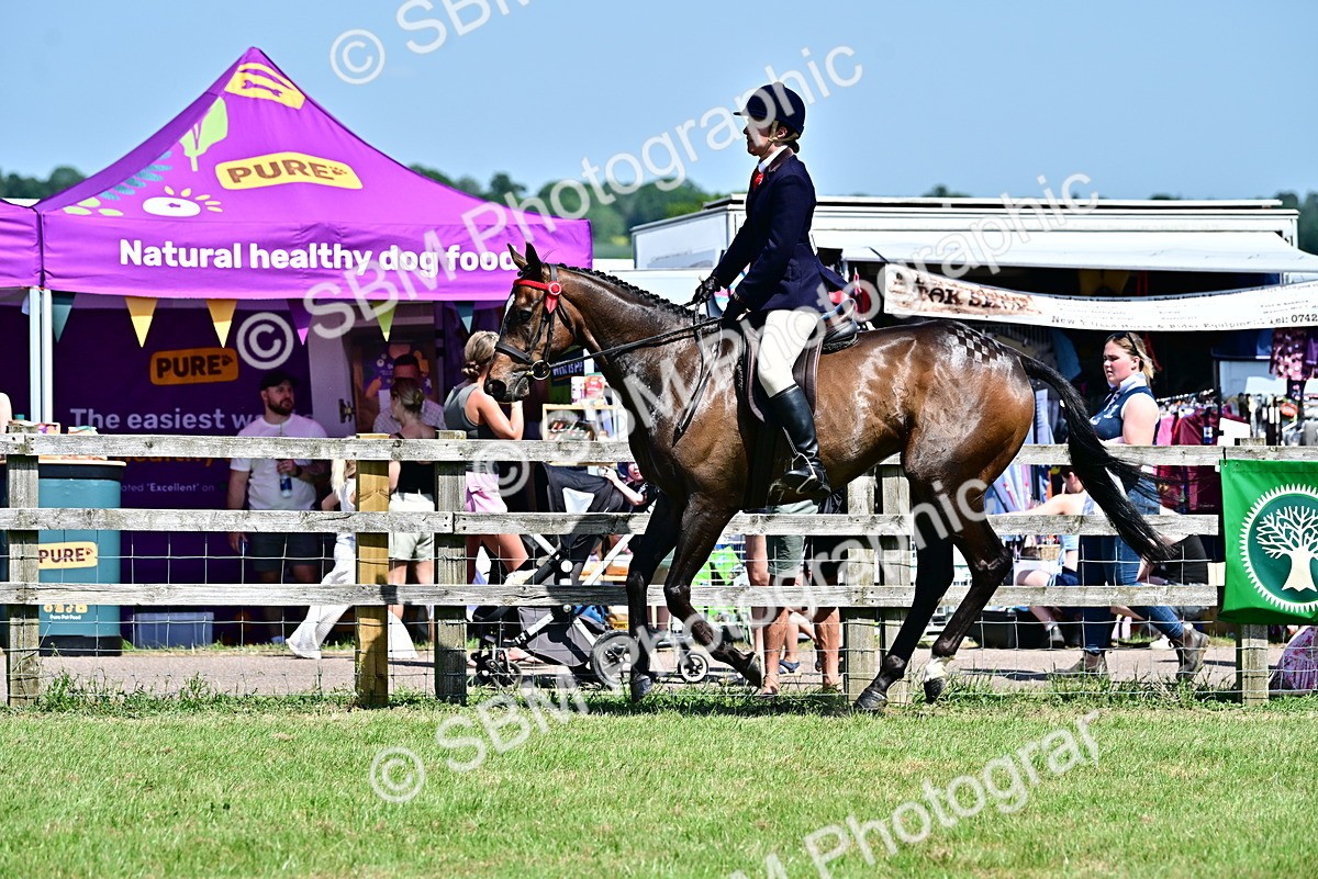 SBM_18145 - Class 99-100 - Retraining of Racehorses Ridden