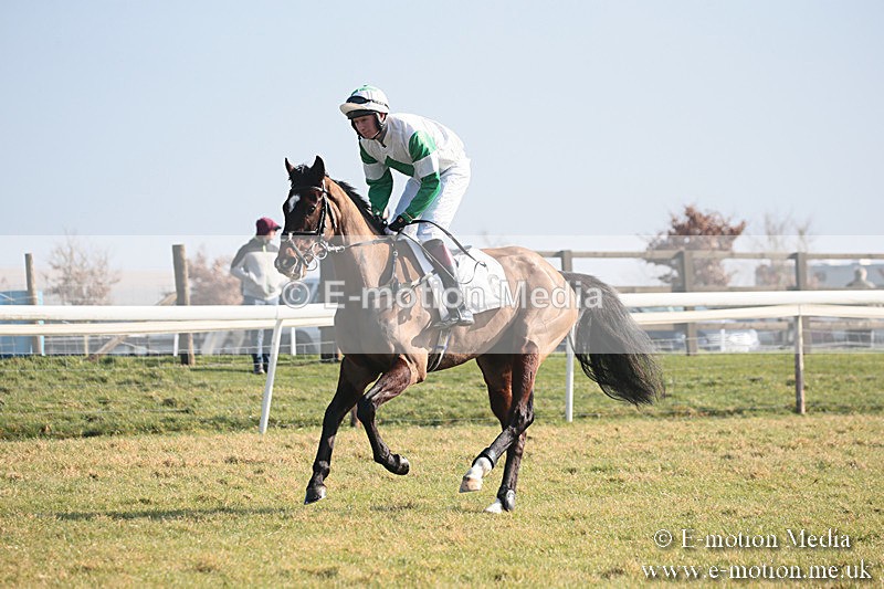 PtP 230219 2 - Vine & Craven Point-To-Point - Barbury 23/02/19
