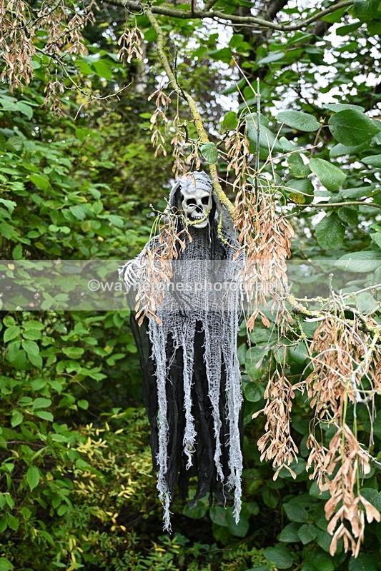 WJ7_6565 - Berks & Bucks - Children's Meet - The Old Farmhouse – Steventon.