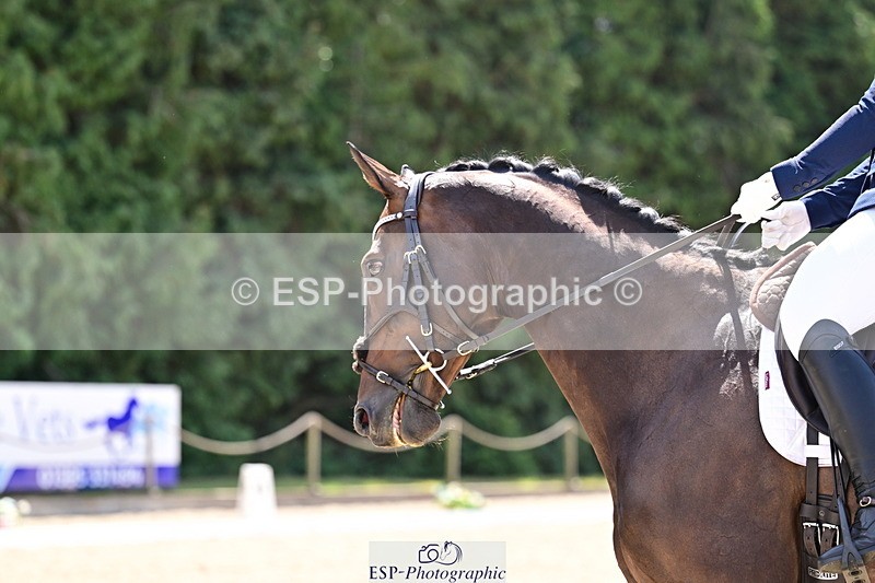 260731A-125141-00726 - Elementary Bronze Break- End