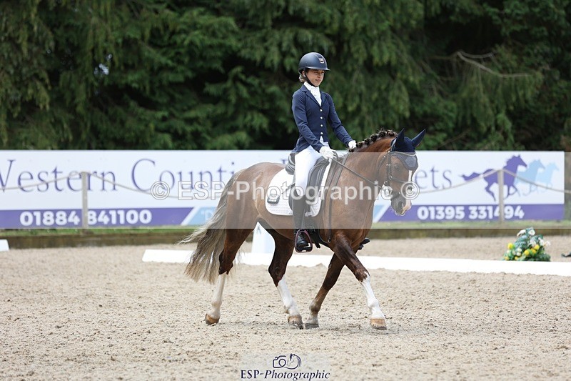 230812-115923-03894 - Cls 5 Novice Bronze 11.15 to 12.50 break