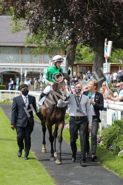 yr12062021r3-18 - Race 3 3.05pm Sky Bet Race to the Ebor Grand Cup