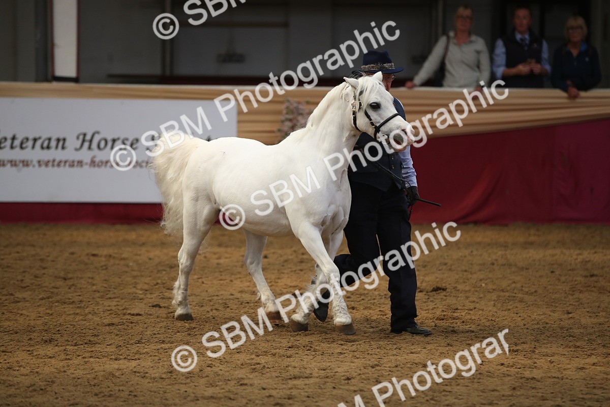 SBM_05376 - Class 8R - Regional IH Veteran