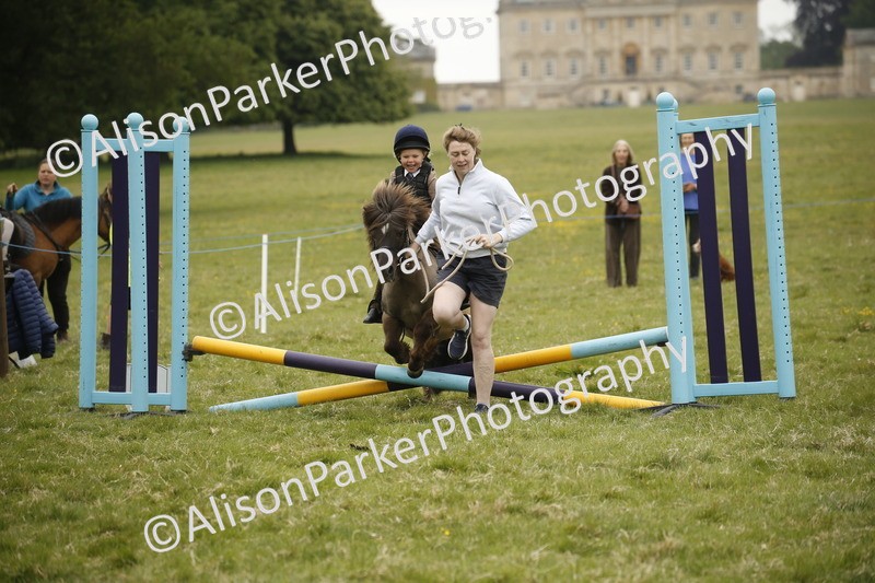 20250517-0251 - Class 1 - 30cm On Lead Rein