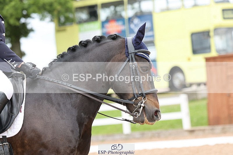 240622A-135605-11872 - Cls 29 BD Elementary 45