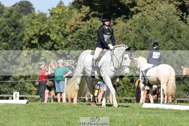 250823A-105653-27839 - Arena D