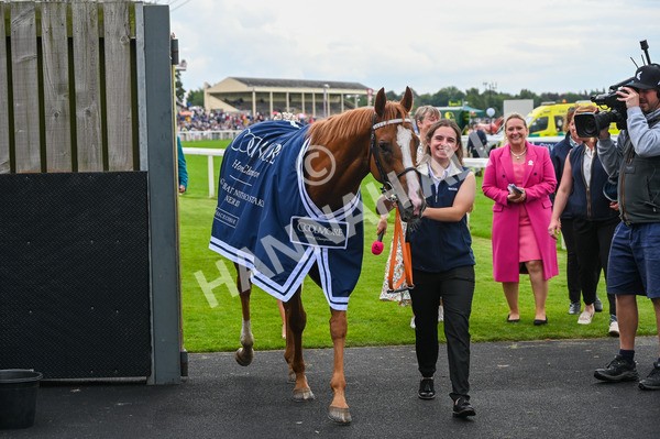 250823-Race 4-Live In The Dream-0500 - Race 4 3.35pm Coolmore Wootton Bassett Nunthorpe Stakes