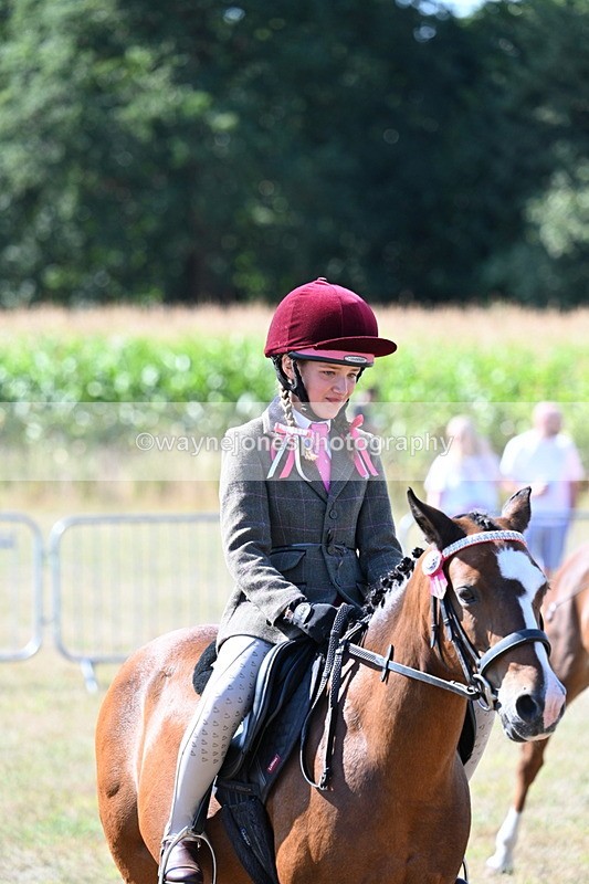 WJ7_4028 - Class 9 Mountain & Moorland Ridden