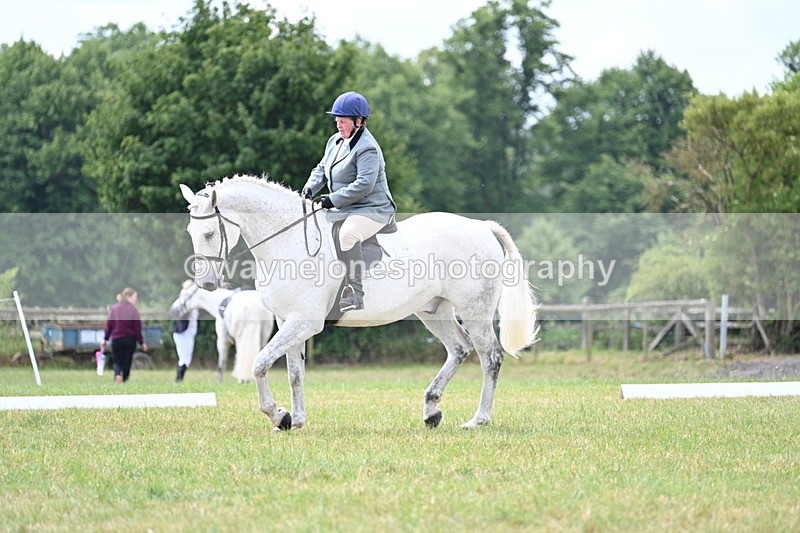 WJ7_5004 - Time 11:22 to 11:51