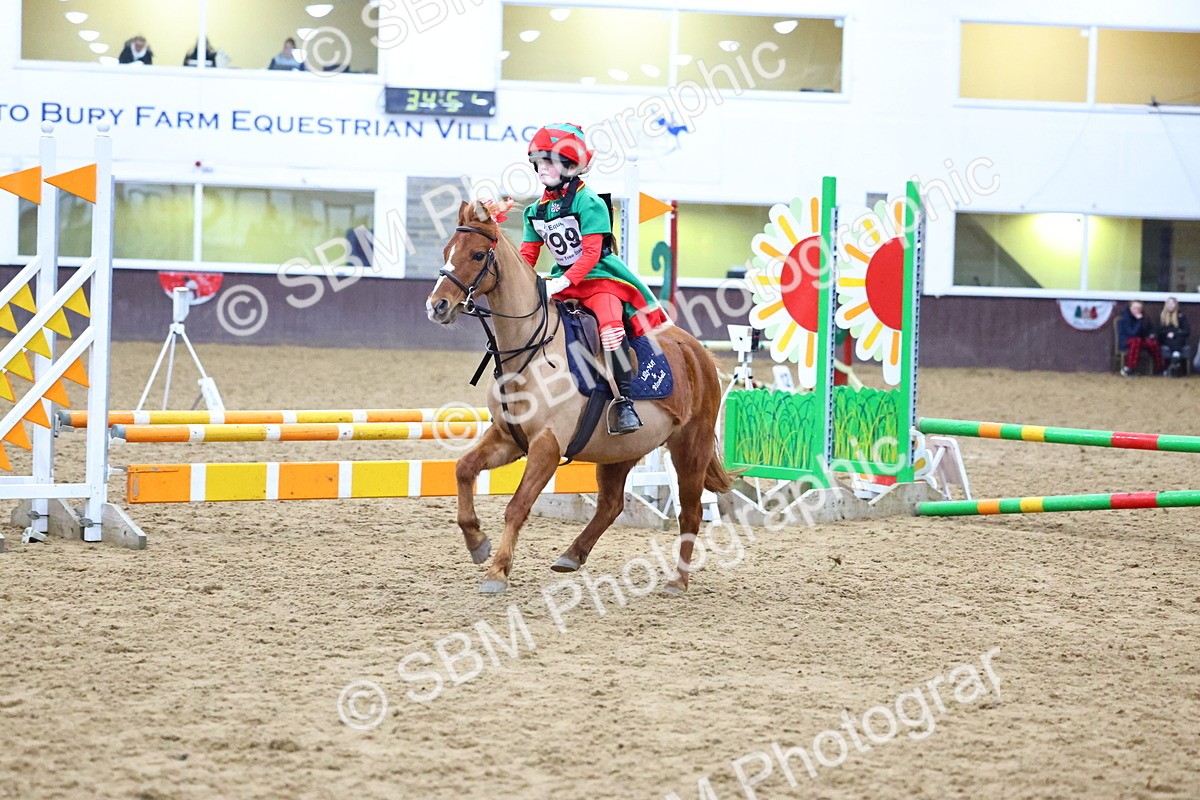 SBM_001449 - Class 3 - Christmas Tree Stakes - 60cm