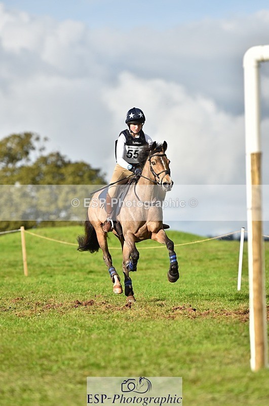 231021-153150-19112 - 558-BATHLEYHILLS.GOLDEN.SPRAY-Cleo.Whitbread-SC+XC