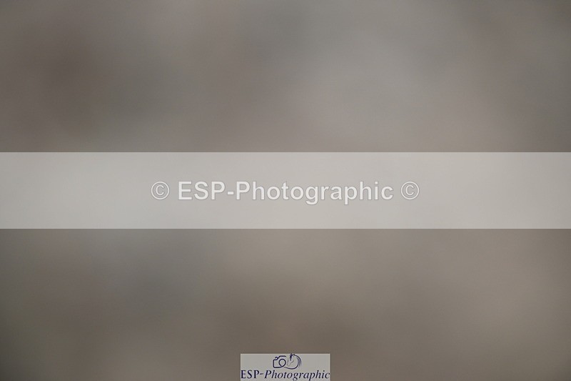 240611A-163624-00249 - 50cm