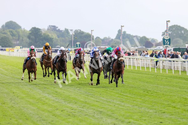 160524-Race 5-Big Evs-1894 - Race 5 4.15pm  British Stallion Studs EBF Westow Stakes