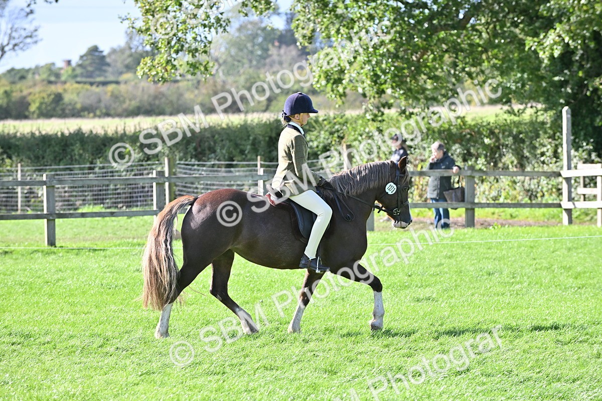 SBM_50286 - S21 - Novice & Newcomers First Ridden