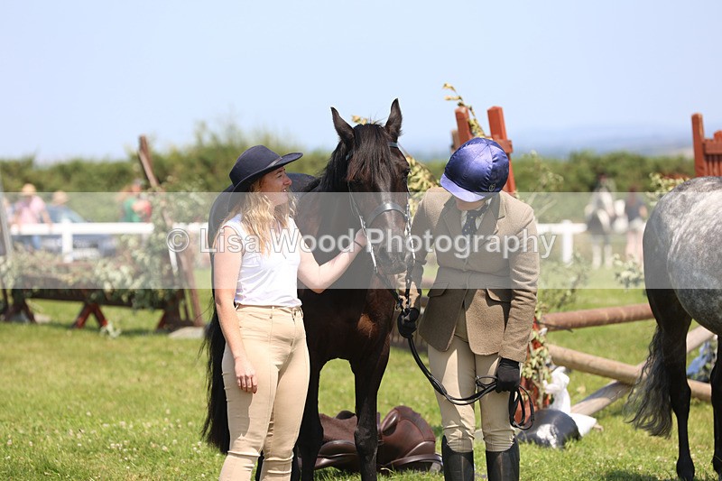 JPP_2855 - Class 21: Working Hunter 60cm