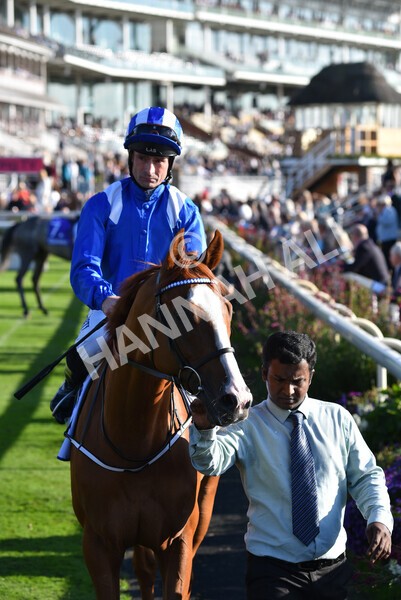yr08102021r4-6 - Race 4 3.50pm Casumo Dare To be Different Handicap